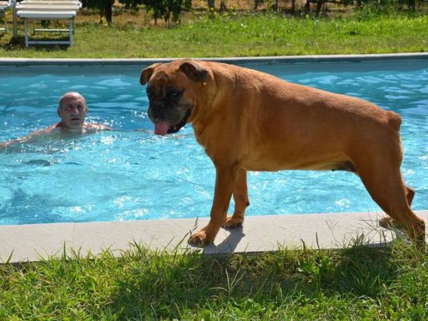 Agriturismo Podere Il Poggiolo - foto 17082.jpg