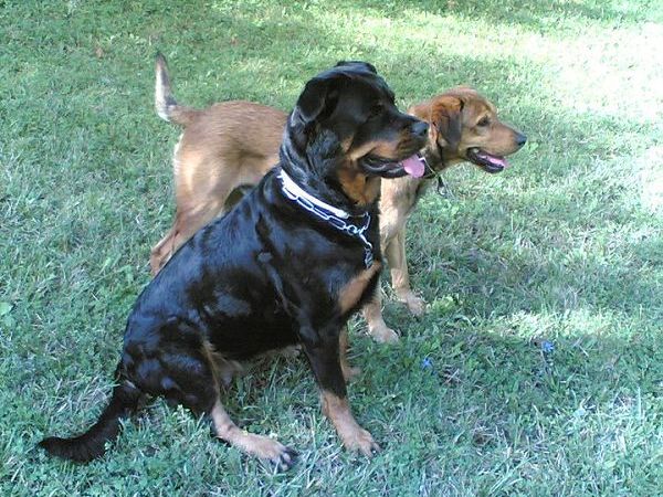 Agriturismo La Ferraia - foto 17091.jpg