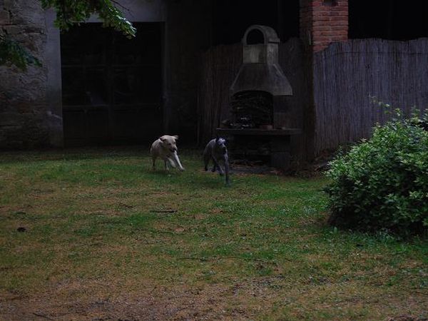 Canto degli Alberti - foto 17145.jpg