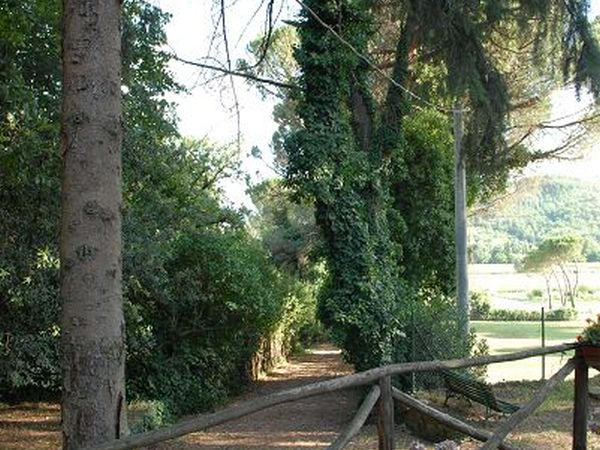 Canto degli Alberti - foto 17157.jpg