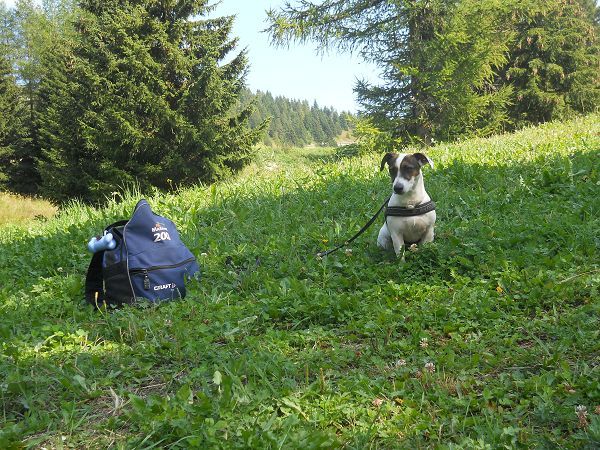 Hotel Cristallo  - foto 17191.jpg