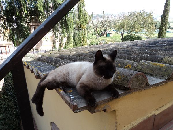 Agriturismo Le Valli - foto 17277.jpg