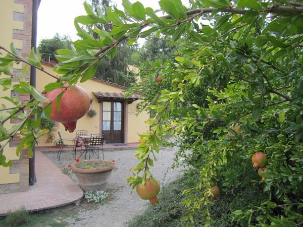 Agriturismo Le Valli - foto 17279.jpg