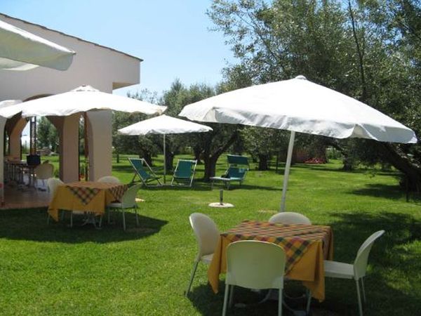 Azienda Agricola il Borgo degli Ulivi - foto 17284.jpg