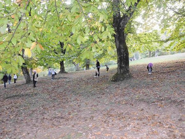 Il Molino di Serravalle - foto 17303.jpg