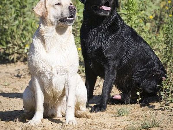 Castellare di Tonda Resort & Spa - foto 17420.jpg