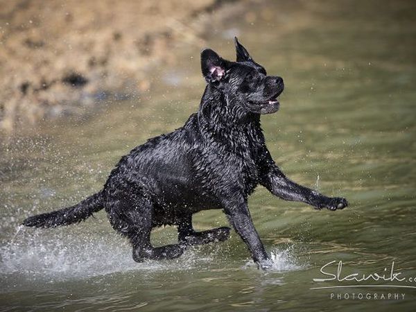 Castellare di Tonda Resort & Spa - foto 17421.jpg