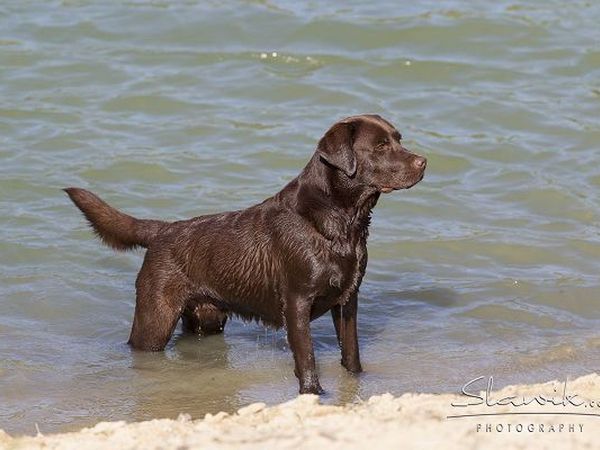 Castellare di Tonda Resort & Spa - foto 17422.jpg