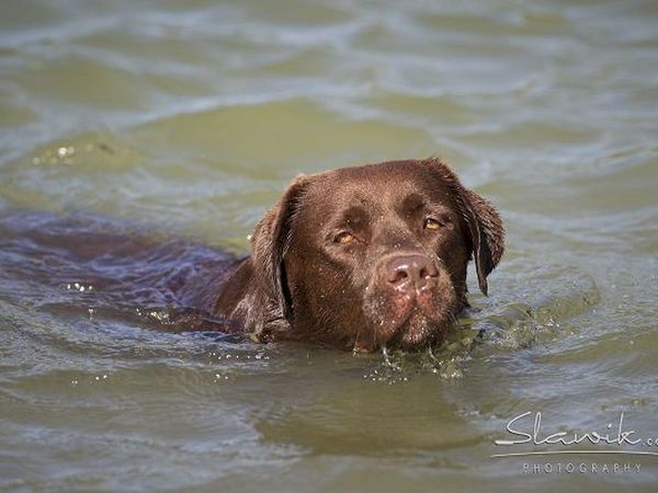 Castellare di Tonda Resort & Spa - foto 17423.jpg