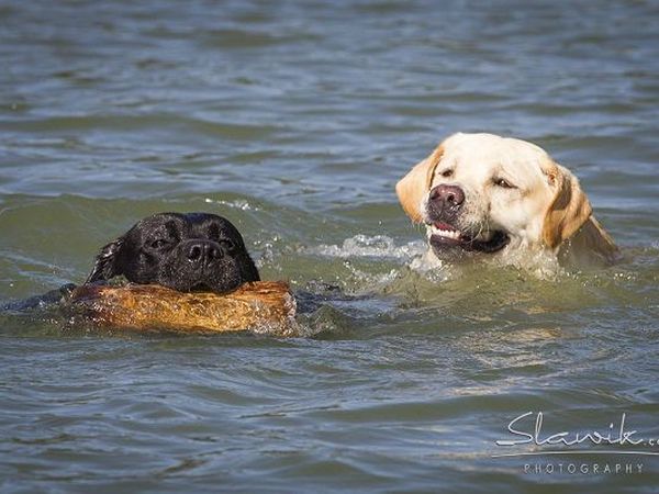 Castellare di Tonda Resort & Spa - foto 17426.jpg