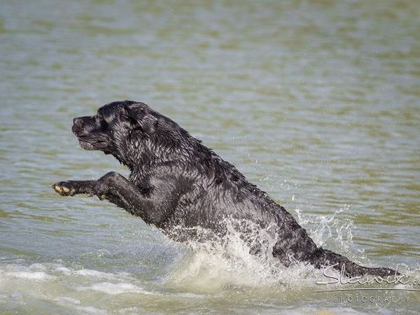 Castellare di Tonda Resort & Spa - foto 17427.jpg