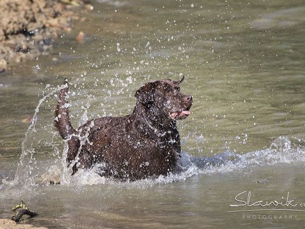 Castellare di Tonda Resort & Spa - foto 17428.jpg