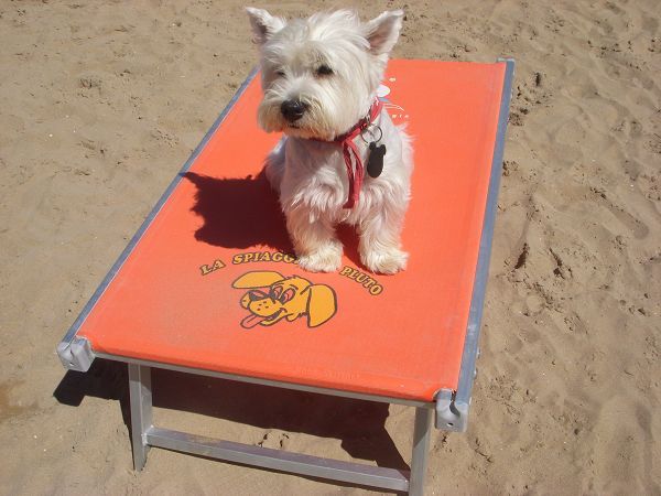 La Spiaggia di Pluto - foto 17447.jpg