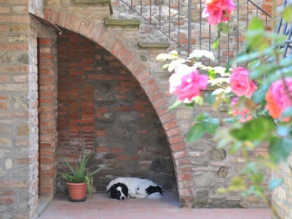 Relais Antonella - foto 17449.jpg