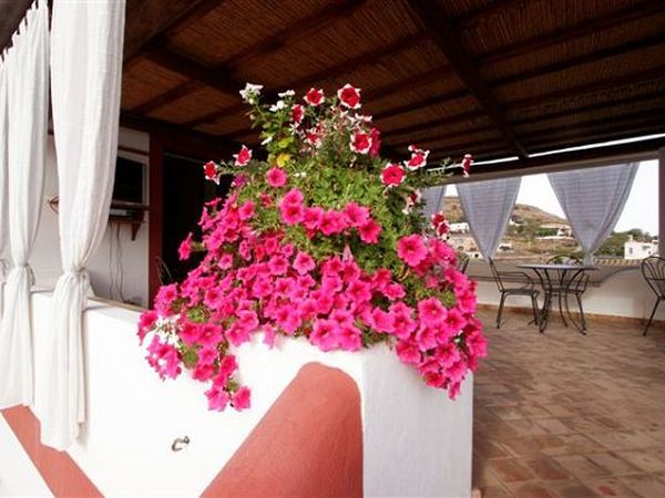 Il Gelso Vacanze - foto 4148.jpg