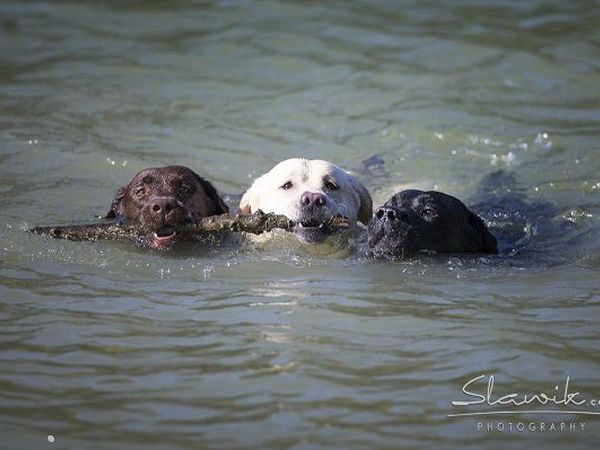 Castellare di Tonda Resort & Spa - foto 17491.jpg