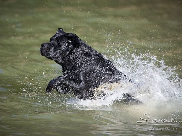 Castellare di Tonda Resort & Spa - foto 17492.jpg