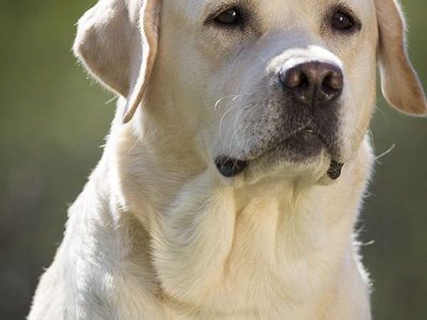 Castellare di Tonda Resort & Spa - foto 17493.jpg