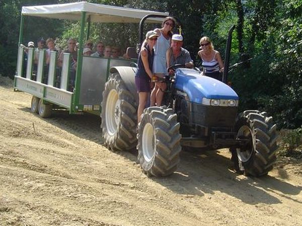 Castellare di Tonda Resort & Spa - foto 17495.jpg