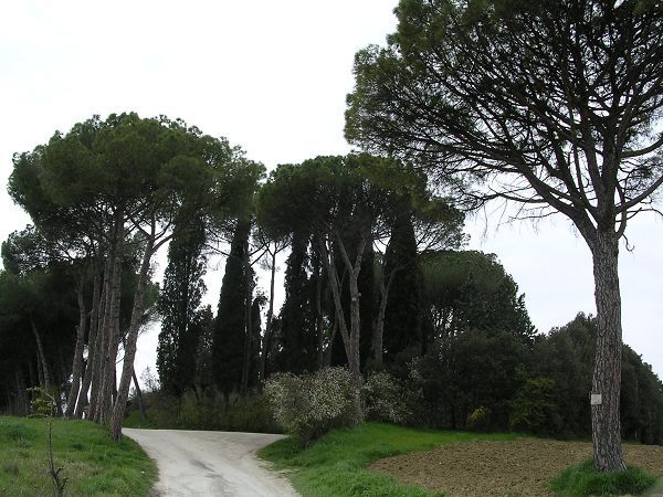 B&B Villa Osperellone - foto 4258.jpg