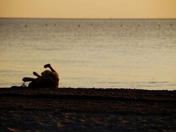 Bagno Trocadero  - foto 17904.jpg