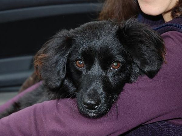 B&B Podere Cerreta - foto 18003.jpg