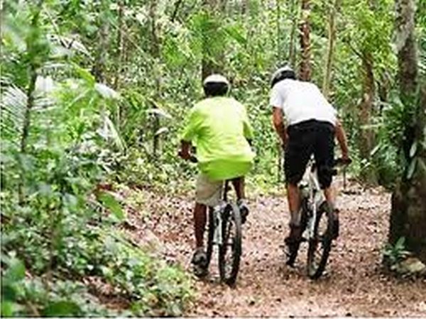 B&B Podere Cerreta - foto 18061.jpg