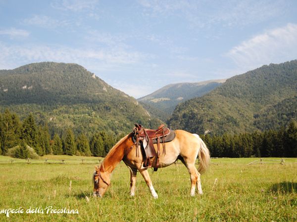 Agriturismo Fattoria della Felicit� - foto 18093.jpg