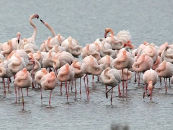 Hotel *** Saint Tropez  - foto 18178.jpg