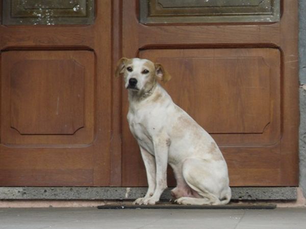 Country Hotel Mandra Edera - foto 4818.jpg