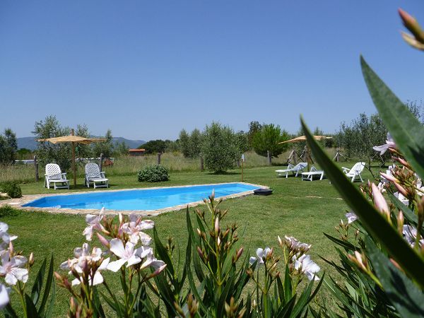 Agriturismo Podere Bello - foto 18341.jpg