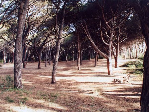 Sfera Immobiliare - foto 18369.jpg