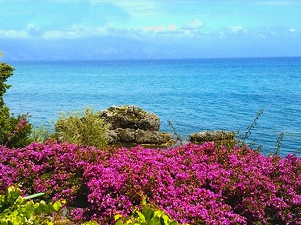 La Francesca Scario Residence - foto 18406.jpg