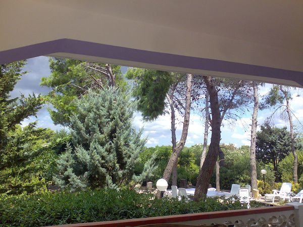 Tambo House - foto 18583.jpg