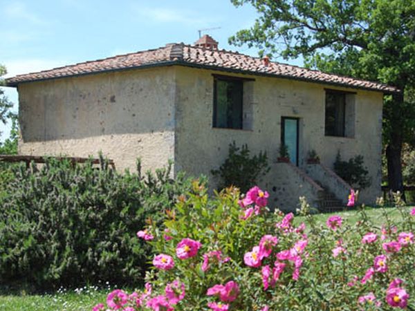 Podere Leccetro - foto 18747.jpg