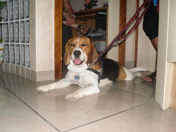 Hotel Virginia - foto 18795.jpg