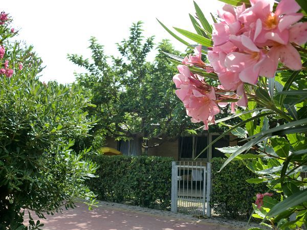 Residence Marche - foto 18800.jpg