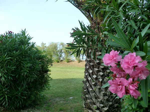 Residence Marche - foto 18802.jpg