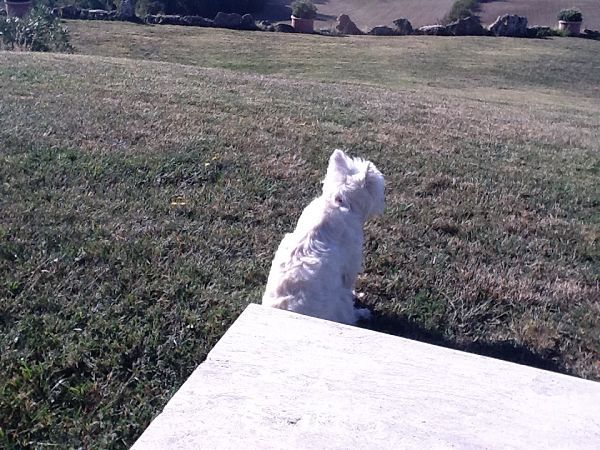 Bagno Santo Hotel - foto 18803.jpg