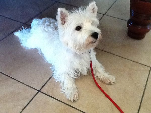 Bagno Santo Hotel - foto 18810.jpg