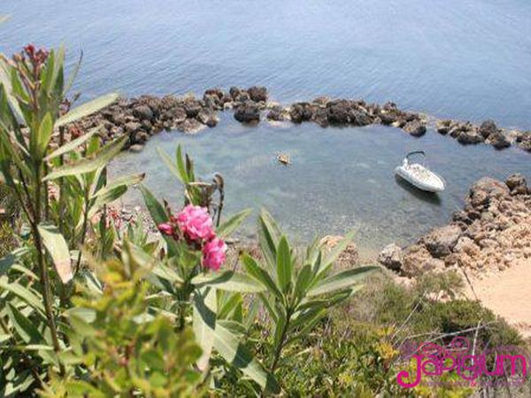 Vacanze Japigium - foto 19026.jpg