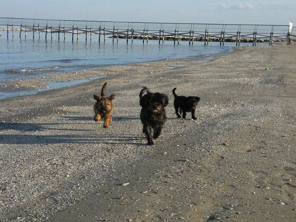 Parador Hotel Residence - foto 19054.jpg