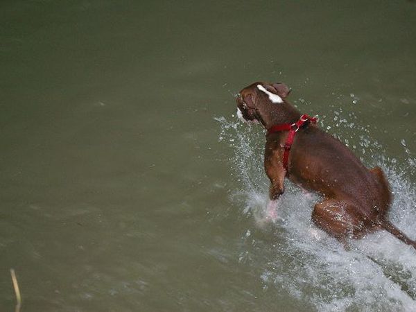Agriturismo La Ferraia - foto 19103.jpg