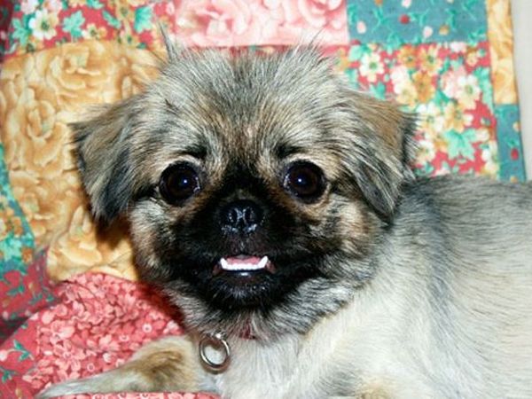 Bio Agriturismo La Cortevilla - foto 19112.jpg