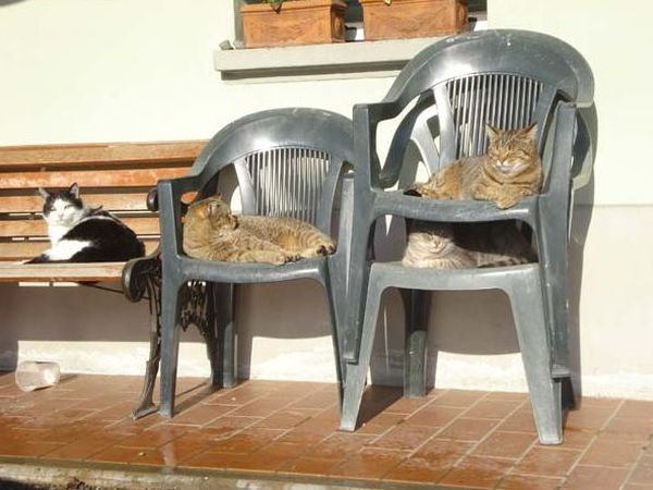 Agriturismo La Falda - foto 19192.jpg