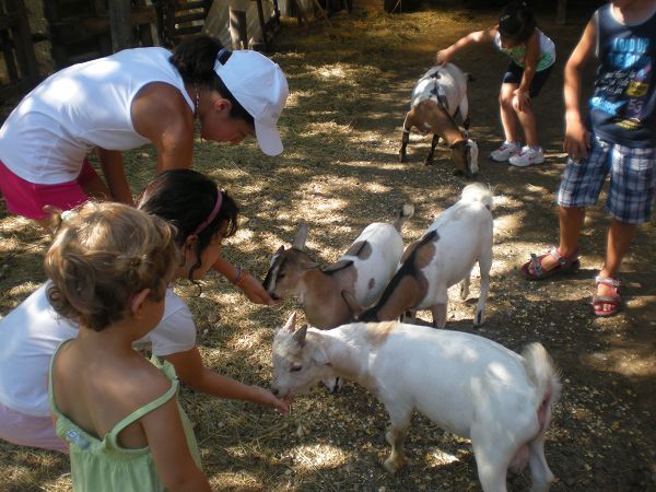 Agriturismo La Falda - foto 19287.jpg