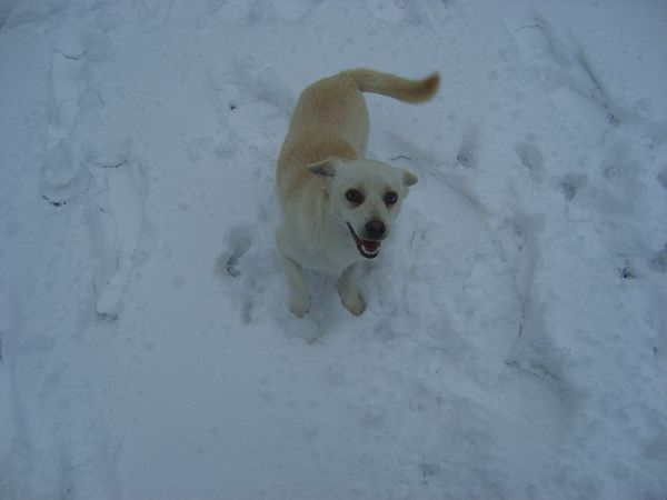 Agriturismo Su Bistentu - foto 19367.jpg