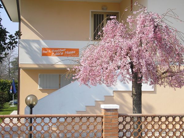 B&B Eddas House - foto 19444.jpg