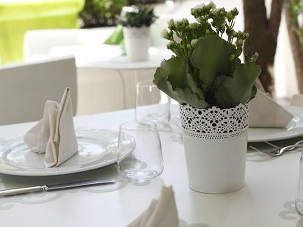 Hotel Principe for Pet Lovers - foto 19495.jpg