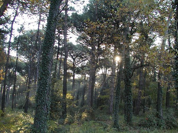 Hotel La Tavernetta - foto 19581.jpg
